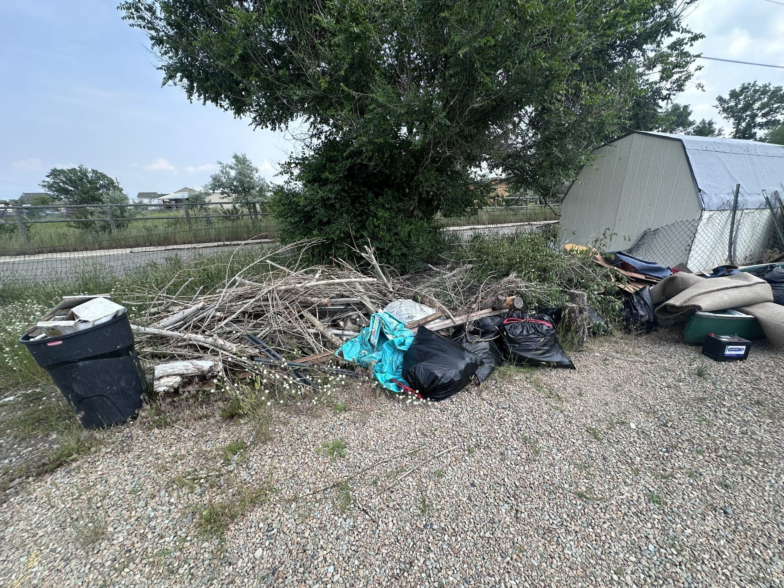 Before yard debris cleanup photo in the Helena, Montana area